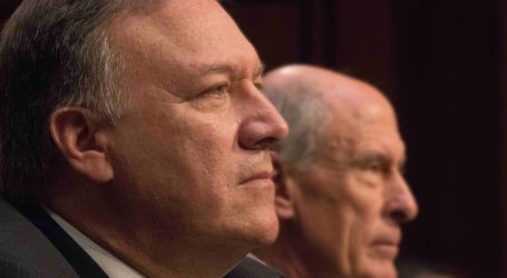 CIA Director Met With Conspiracy Theorist Who Says DNC Hacks Were an Inside Job