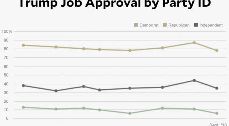 Trump Job Approval Heading Down to Crazification Factor Once Again