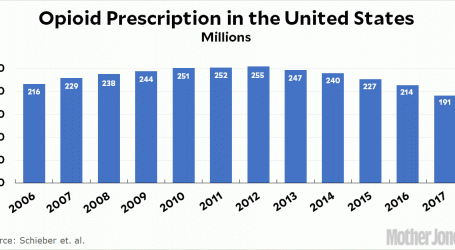 Raw Data: Opioid Prescriptions in the United States