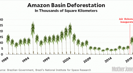 Chart of the Day: The Amazon Is Burning, But Not Everyone Cares
