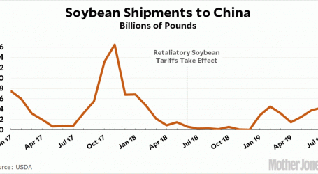 China Is Buying Lots of US Soybeans