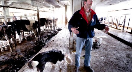 Wisconsin’s Statehouse Is at War Over Its Dairy Crisis