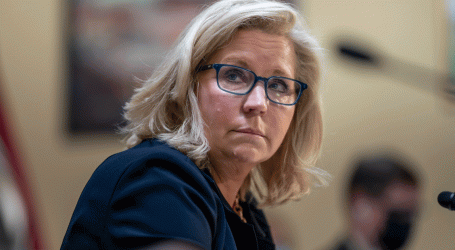 ski-in-jackson-hole?-you-could-be-hurting-liz-cheney