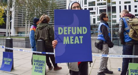 Plant Based Meats Do More to Address Climate Change Than Green Buildings or Zero-Emission Cars