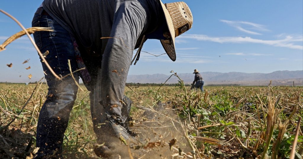 conservative-courts-and-the-filibuster-are-blocking-heat-protections-for-farmworkers