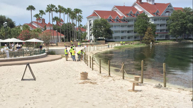Fence going up at Disney resort beach where alligator killed toddler
