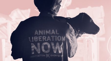 Inside the Bold New Animal Liberation Movement: No Masks, No Regrets, All the Risk