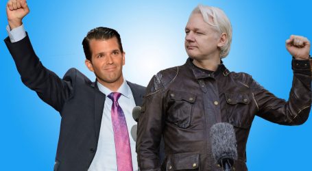 WikiLeaks Set Off an Attack on Our Trump-Russia Project—Right After Messaging Donald Trump Jr. About It