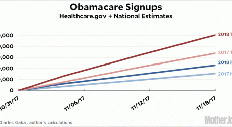 Obamacare Enrollments Continue to Thrive