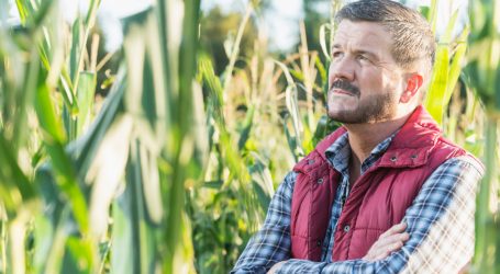 Most American Farmers Will Be Hurt by the GOP Tax Bill