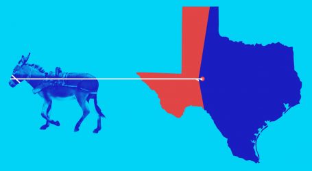Democrats’ Hopes of Taking Back the House Could Hinge on Two Districts—in Texas