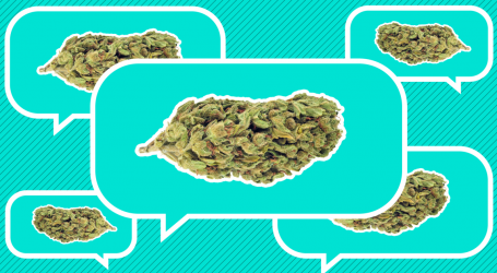 A Quick Guide to Legal Pot in California