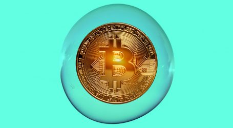 Experts Aren’t Too Worried About the Bitcoin Bubble…Yet