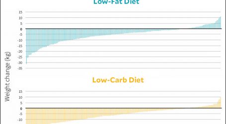 Low-Fat vs. Low-Carb: A New Study Puts Them to the Test