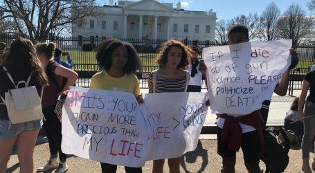 Teenagers Pour Into the Streets Calling for Gun Control After Parkland Shooting