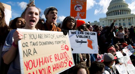Students Walked Out for Gun Control. Here’s How Congress Responded.