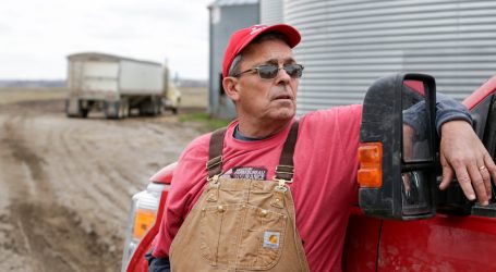 American Farmers Are Collateral Damage in Trump’s Trade War