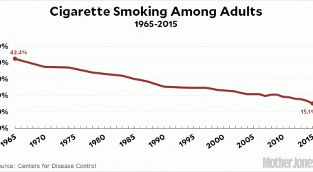 Raw Data: Cigarette Smoking Among Adults