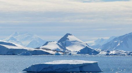 Why Antarctica’s Prehistoric Forests Might Foreshadow Its Future
