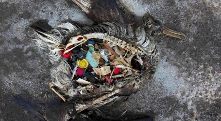 The Global Crisis of Plastic Pollution