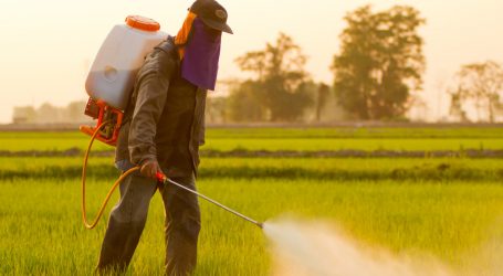 Trump’s EPA Greenlighted a Pesticide That Harms Kids’ Brains. Hawaii Just Said, “Hell No.”