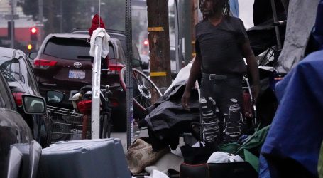 The Homeless in Los Angeles