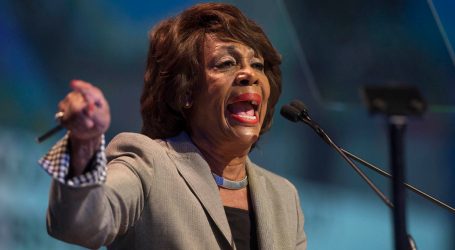 Maxine Waters Just Tore Up Trump’s Threats in a Fiery Speech at the LA Immigration Rally