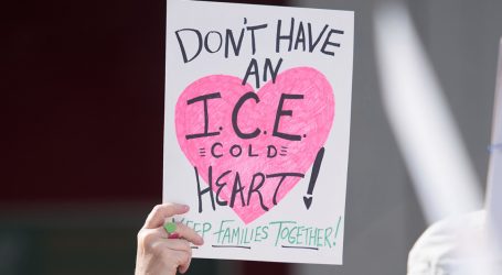 Even ICE Agents Hate ICE