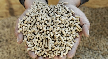 The Dirty Little Secret Behind “Clean Energy” Wood Pellets