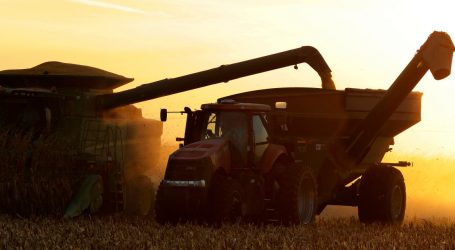 As Trump’s China Tariffs Kick In, US Farmers Watch Prices Slide