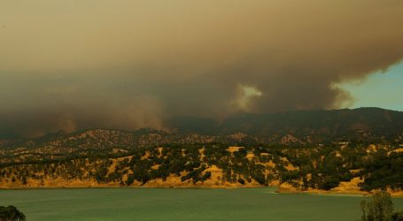 It’s Barely July and This Wildfire Season Already Looks Terrifying