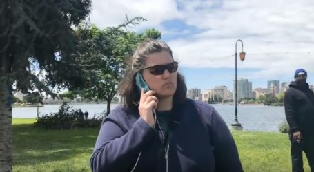 We’re Seeing an Epidemic of #BBQBecky-Type Calls. Here’s How Police Could Deal With Them.