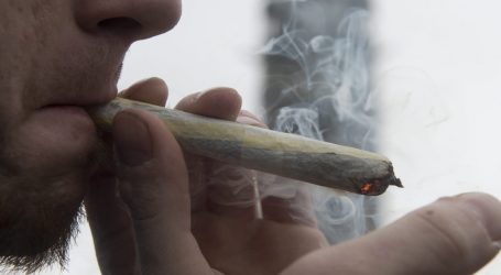 New York State Officials Recommend Legalizing Marijuana