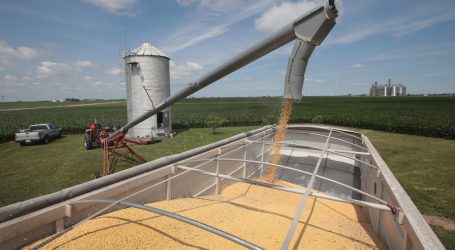 Trump’s EU Deal Won’t Do a Thing to Help Soybean Farmers