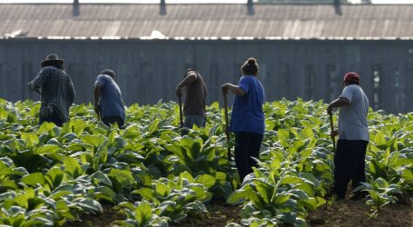 Farmworkers Are Dying from Extreme Heat