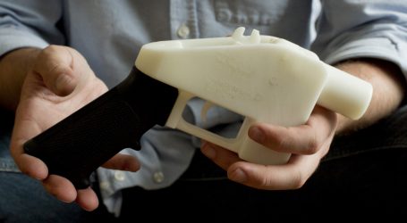 A Judge Just Handed Gun Safety Activists a Victory on 3-D Printed Guns