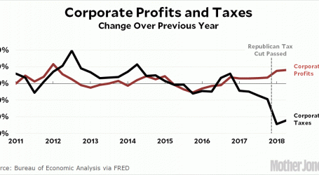 Taxes Down, Profits Up—But for Corporations, Not for You