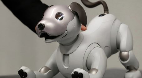 Robot Puppies Will Soon Be Man’s Best Friend