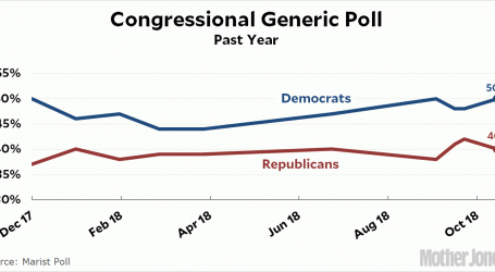 Democratic Lead in Congressional Generic Poll Is Holding Steady