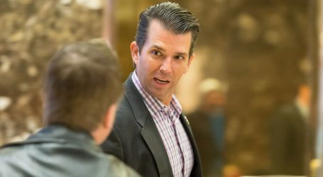 Donald Trump Jr. Is Basically Tweeting About White Genocide Now