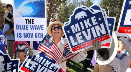 Here’s What the Blue Wave Looked Like in California