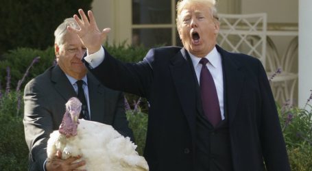 Here’s What President Trump Was Doing Over the Thanksgiving Holiday