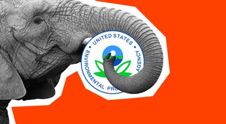 The Real Story Behind the EPA’s Efforts to Hire a Hyper-Aggressive Political Operation