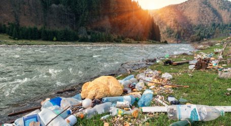 10 Easy Ways to Reduce Your Plastics Use in 2019