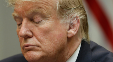 Day After Shutdown Surrender, Trump Is Having One Sad Morning on Twitter