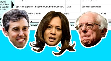 Which Democratic Presidential Candidates Have Released Their Tax Returns?