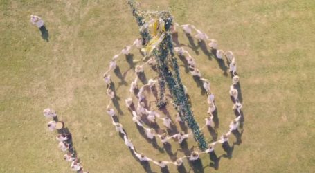 “Midsommar” Is Here to Scare the Socialism Scaremongers