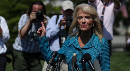 “What’s Your Ethnicity?” Kellyanne Conway Defends Trump With Shocking Question to Reporter