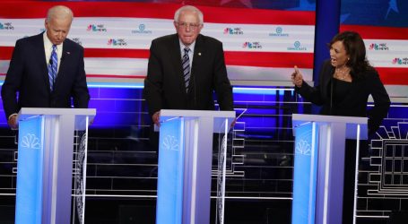 How Much Does Age Affect the Democratic Candidates’ Policies?