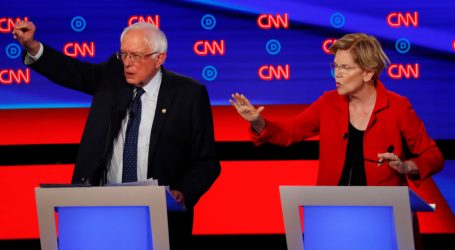 Elizabeth Warren Summed Up the Democratic Debate in 9 Seconds
